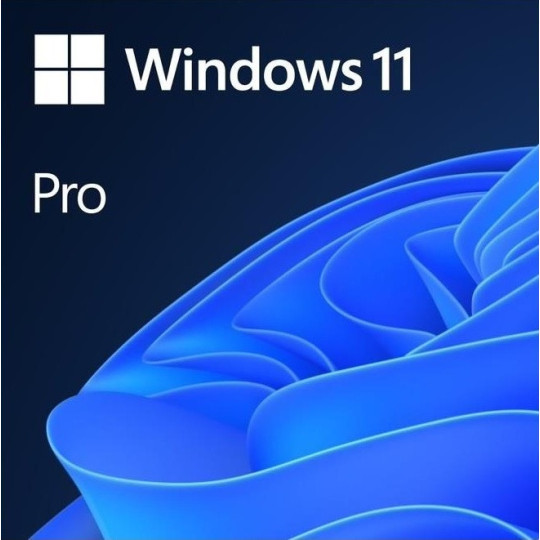 Windows 11 PRO ESD 64bit Klucz (FQC-10572)