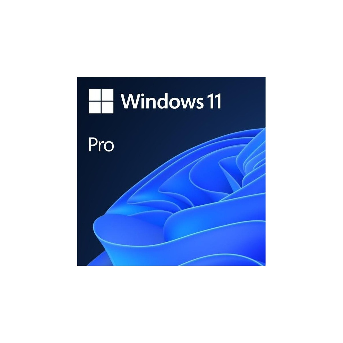 Windows 11 PRO ESD 64bit Klucz (FQC-10572)
