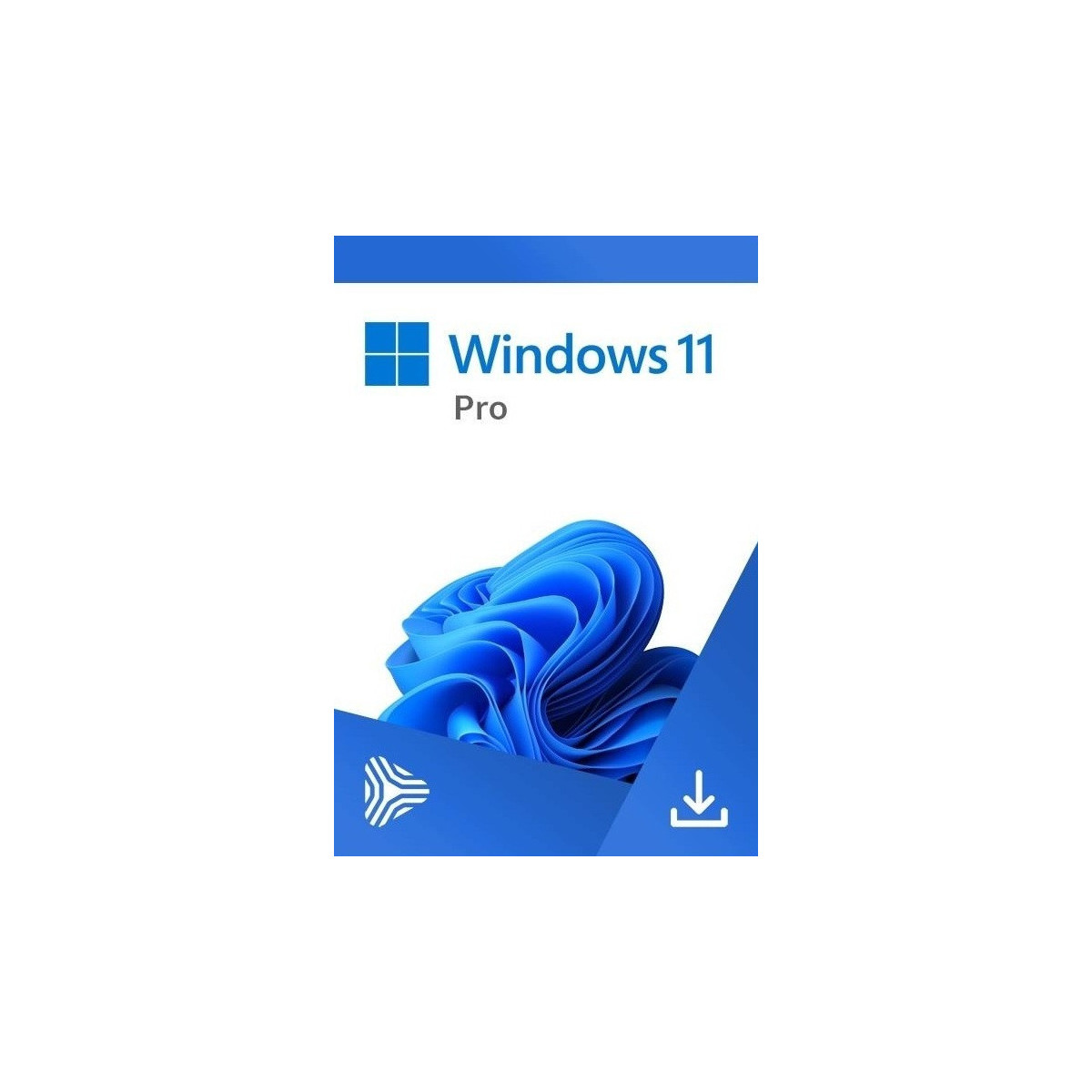 Windows 11 Pro DSP OEI DVD 64Bit (FQC-10544)