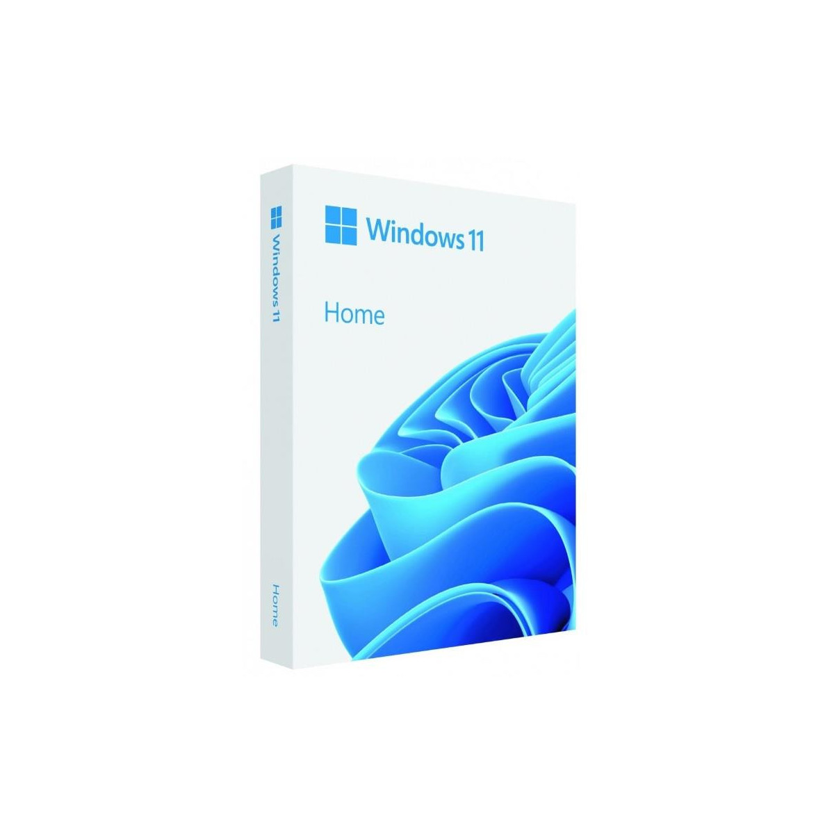 Windows Home 11 Box USB 64bit (HAJ-00116)