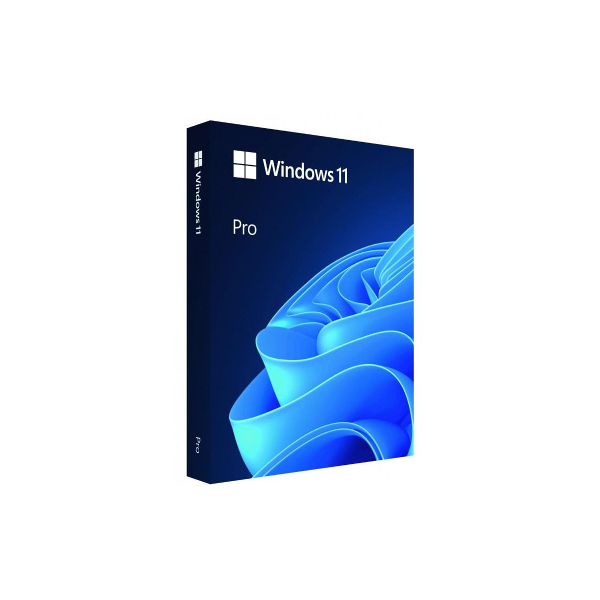 Windows Pro 11 Box USB 64bit (HAV-00209)