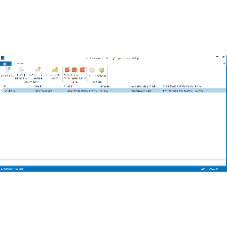 Subiekt GT - Synchronizator Allegro