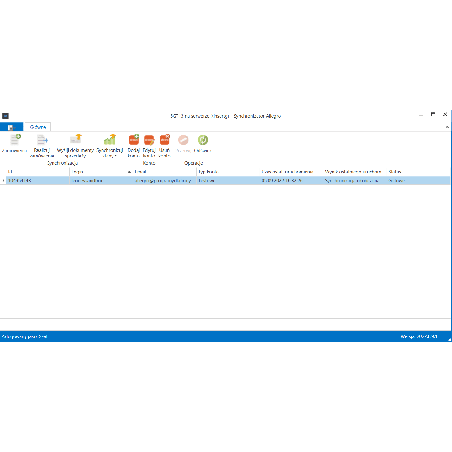 Subiekt GT - Synchronizator Allegro