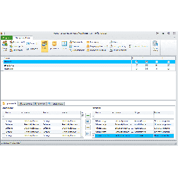 Subiekt GT - Profile Manager